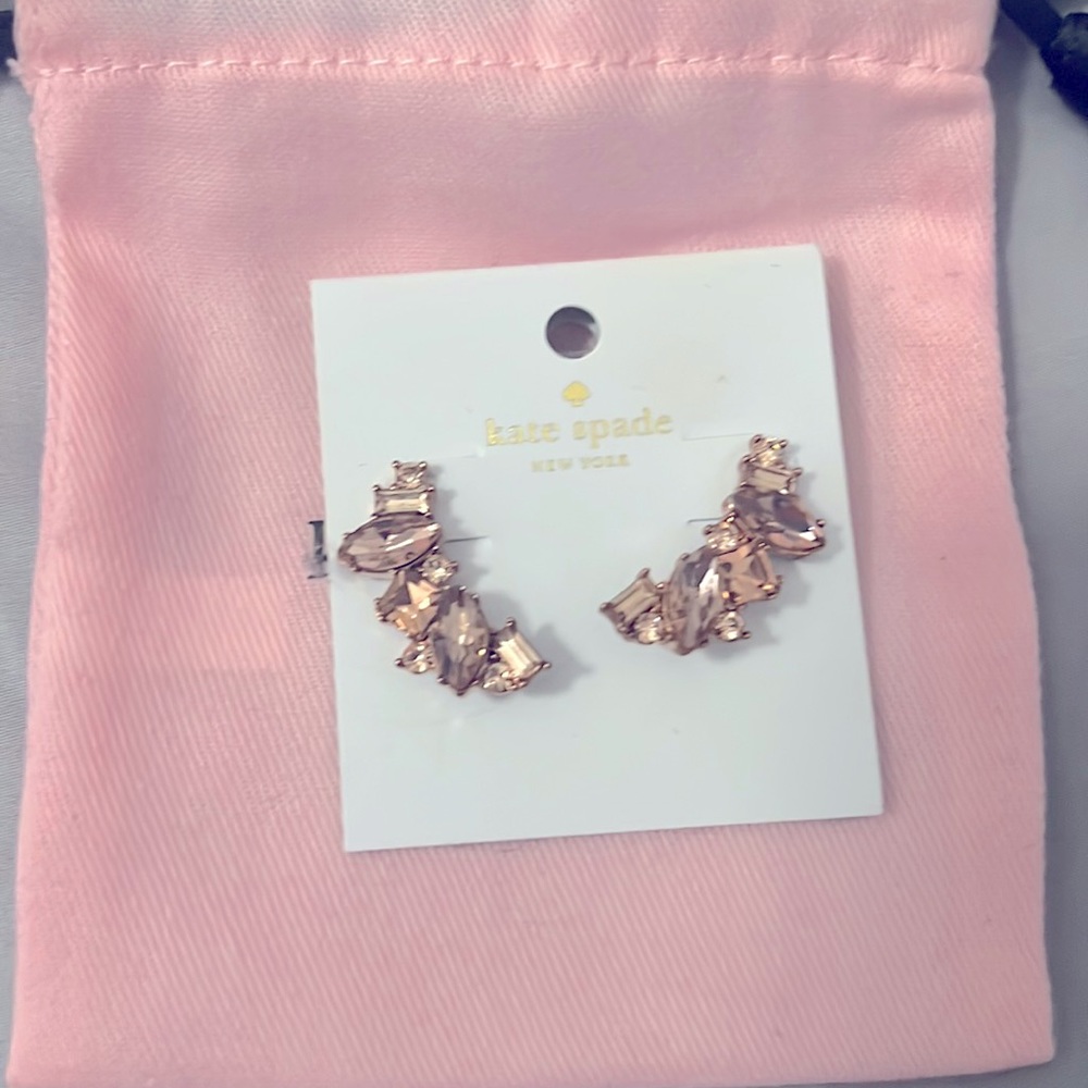 Rose gold earrings